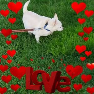 Meet your Posher, Paula